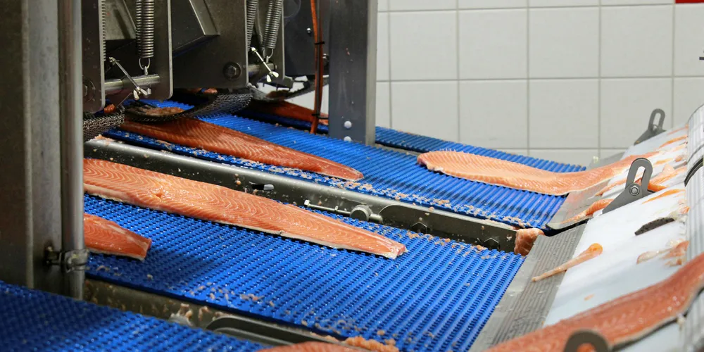 Innovasjon Norge vil ha mer av dette i Norge. Her fra fabrikken til Nordlaks Produkter på Storkmarknes.