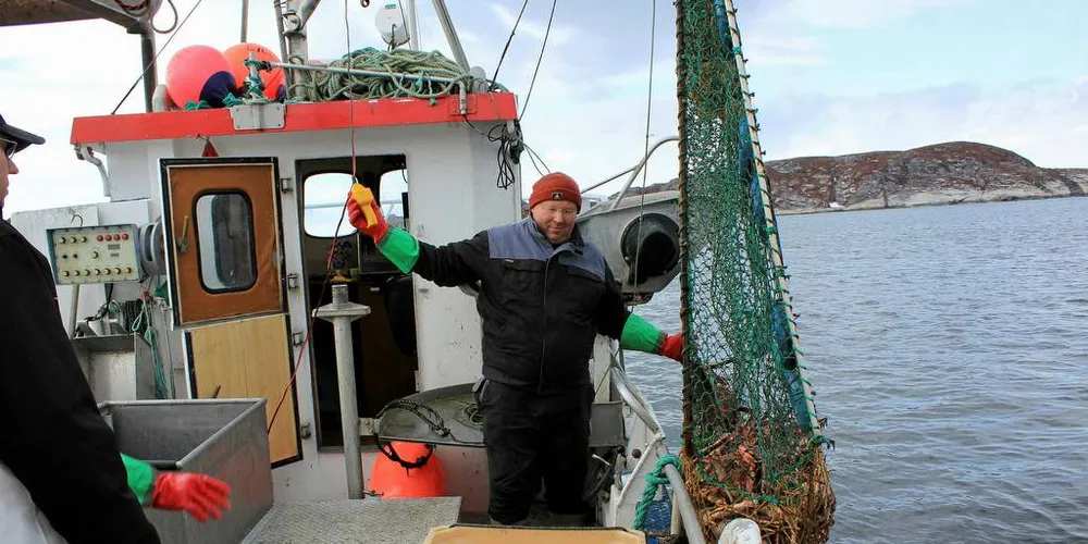 TESTER: Daglig leder ved kongekrabbefiskeriet Rantind AS, Erling Haugan prøver ut de nye prototypeteinene til Nofima sammen med seniorforsker, Sten Ivar Siikavuopio.Foto: Privat