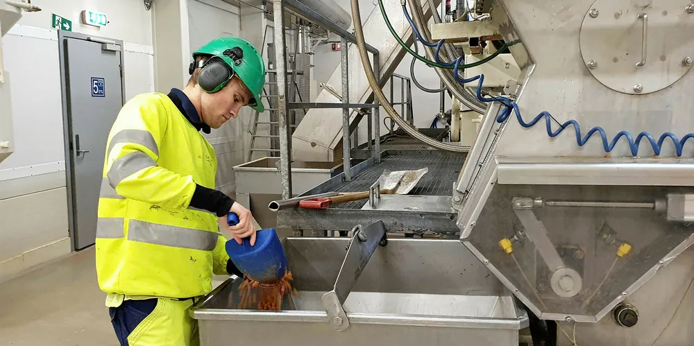 An operator takes samples of Skretting's feed at the factory at Averoy.