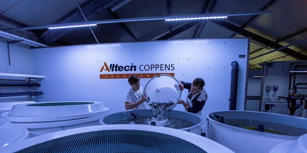 The company has also expanded into new markets such as Norway, the United States, Bulgaria, Greece and Turkey as well as collaboration work in Brazil.