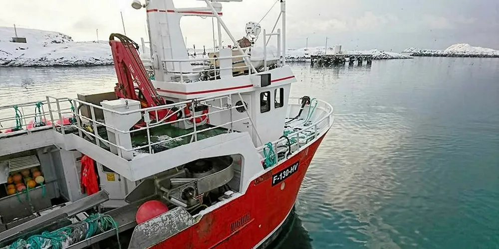 Bremanger-båten «Stormhav» avbrøt et blandingsfiske på mørekysten og satte kursen nordover for torskefiske da det kom en refordeling på sist fredag.Foto: privat