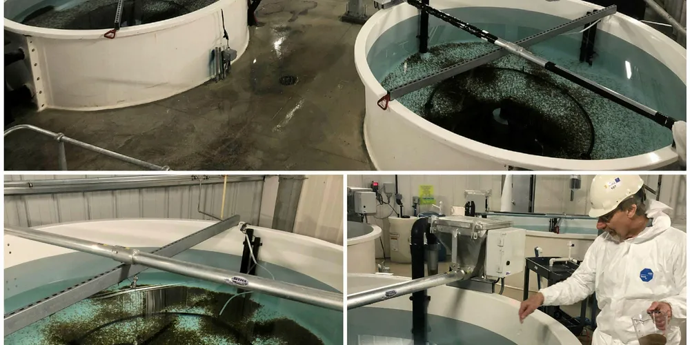 Atlantic Sapphire feeding tanks.