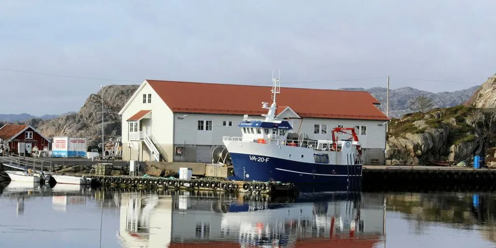 GOD FANGST: «Havsund» hadde et godt fiske på revet og landet en fangst på 1985 kilo reker til mottaket i Kirkehamn tirsdag. Hidra-båten er nå på vei nordover for å satse på nvg-sild og skrei.Foto: Roy Harbakk