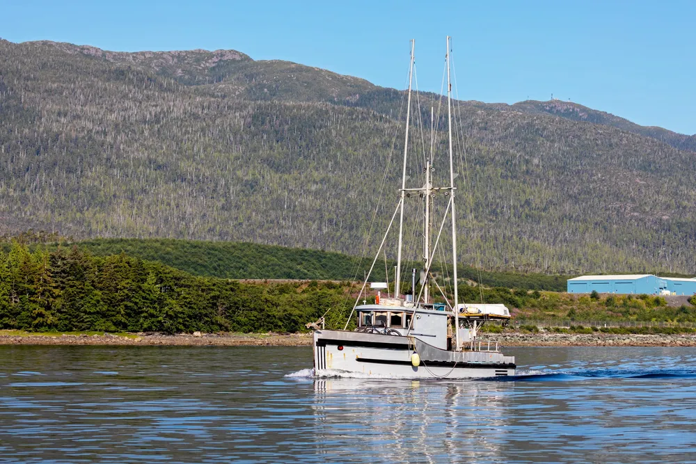 An endangered species listing for Gulf of Alaska king salmon would primarily impact the state's commercial troll fleet