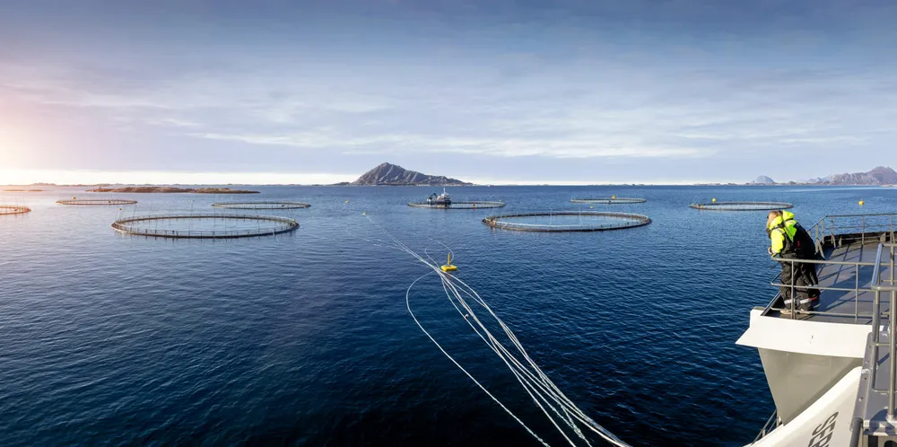 Vår kritikk rettes hovedsakelig mot forvaltningen, som etter vår kjennskap ikke har på plass nødvendige systemer for å håndtere en ny runde med torskeoppdrett, skriver Nord Fiskarlag. Bildet er fra Norcods lokalitet Frosvika i Meløy kommune.