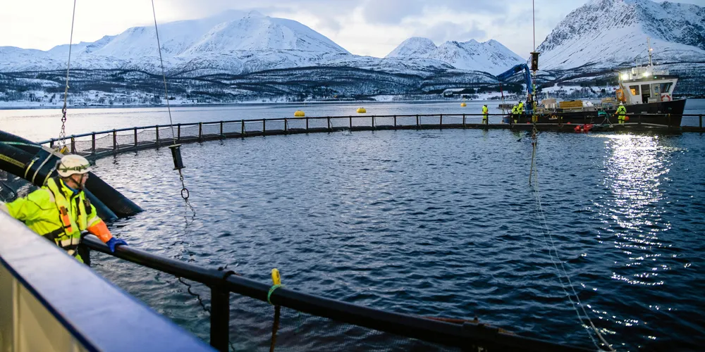 Bilde fra oppdrettsanlegget Lerøy Årøya i Lyngenfjorden. Illustrasjonsfoto