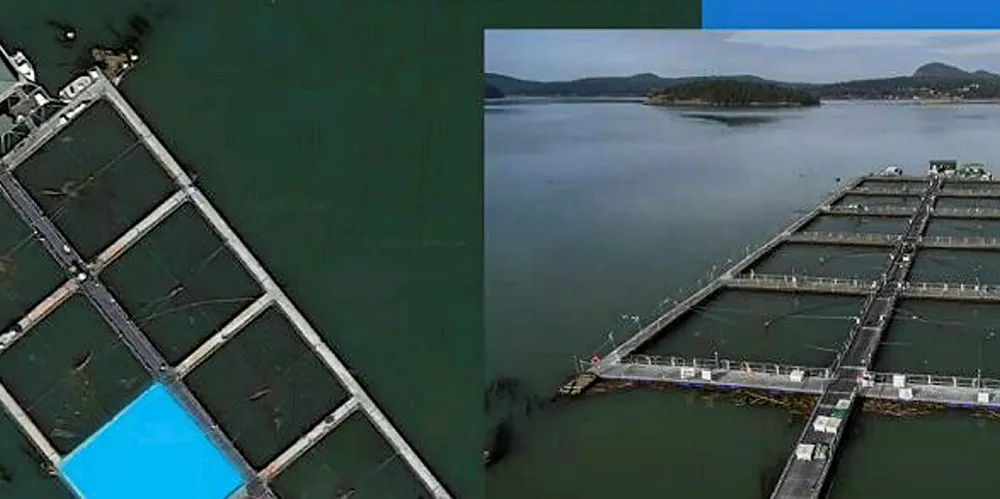 Washington state officials are reviewing Cooke's remaining water permits for its Atlantic salmon farming sites.