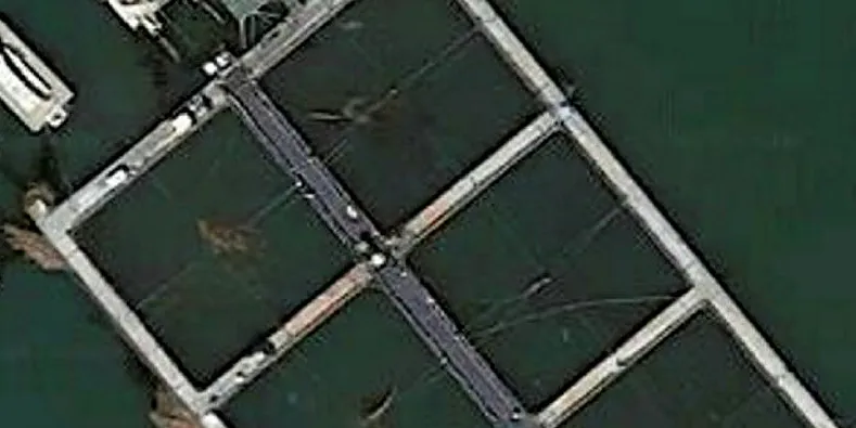 Washington state officials are scrutinizing Cooke's remaining water permits for its Atlantic salmon farming sites.
