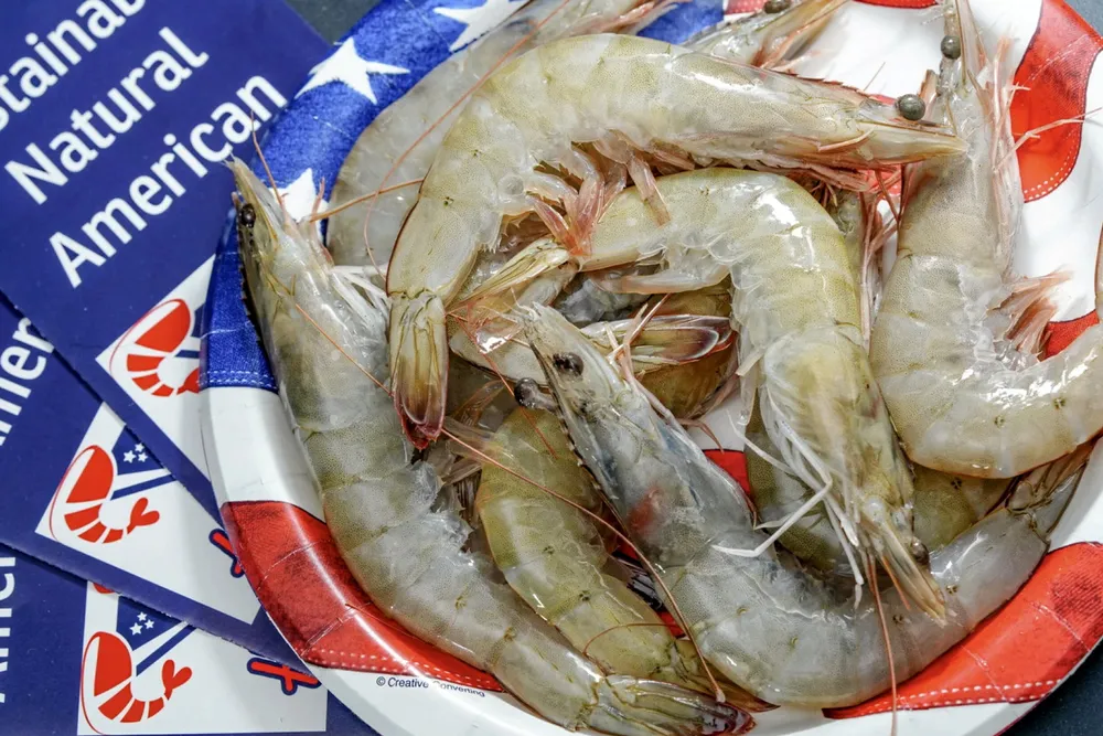 Florida indoor shrimp farm Homegrown Shrimp needs to sell its product at $22 per kilogram just to break even.