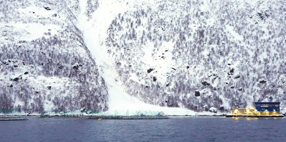 Bilde fra snøras ved lokaliteten Davatluft utenfor Stjernøya i Alta.