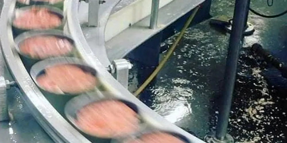OBI Seafoods has over 100 years of salmon canning history.