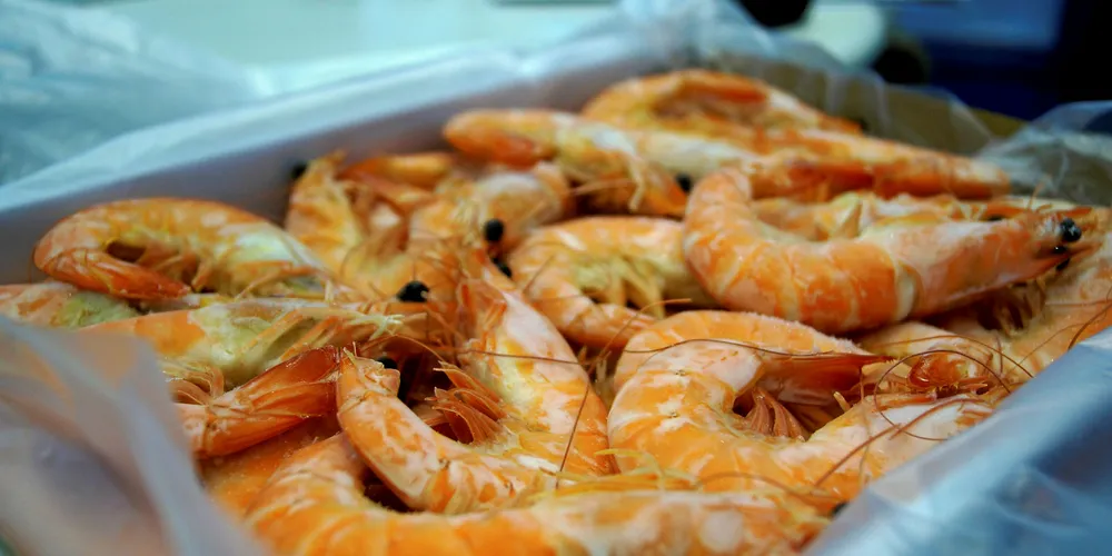 A US senator is asking the President to add crawfish and shrimp to the list of items facing potential Chinese trade tariffs.