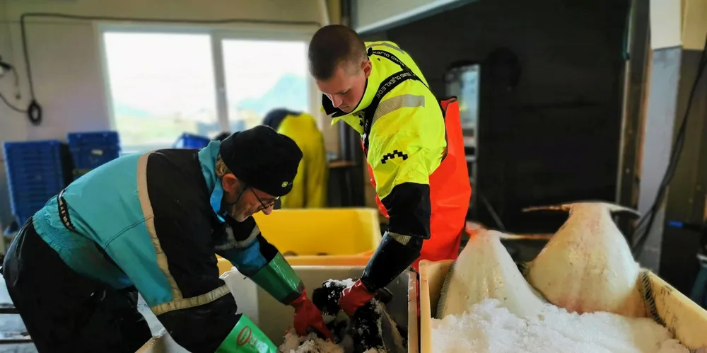 Træna fiskemottak legger ned. Dagens kveitefangst på Bolga. F.v. Fiskerne Bjørn og Simon Johan Olsen.