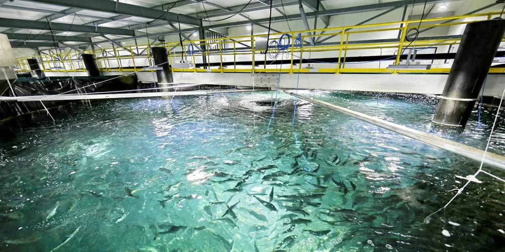 Land-based salmon farming is making headlines. We're here to round them up for you.