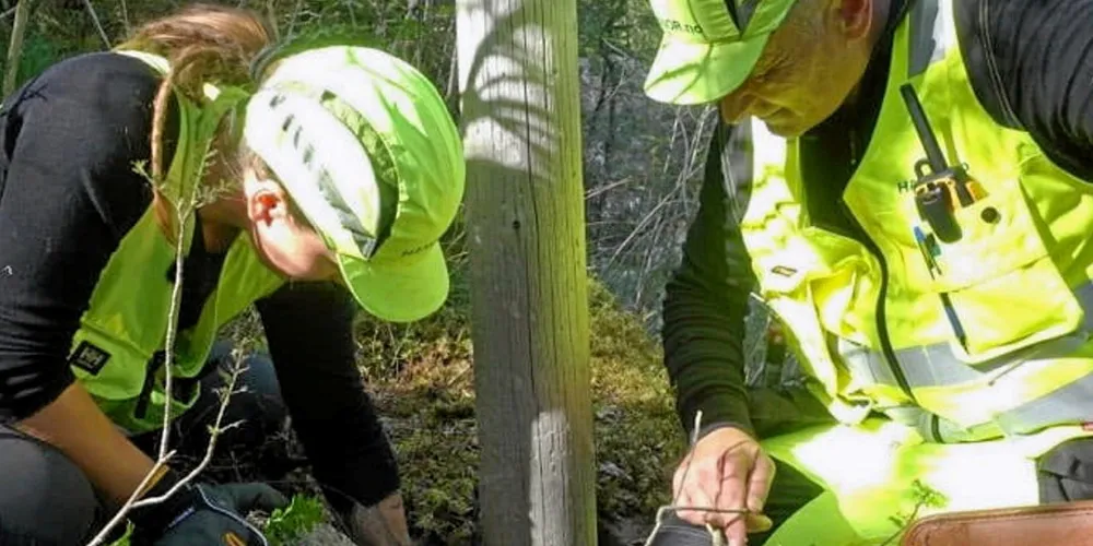 Helge og Trine Olsen graver ved en kraftstolpe for å kontrollere tilstanden.