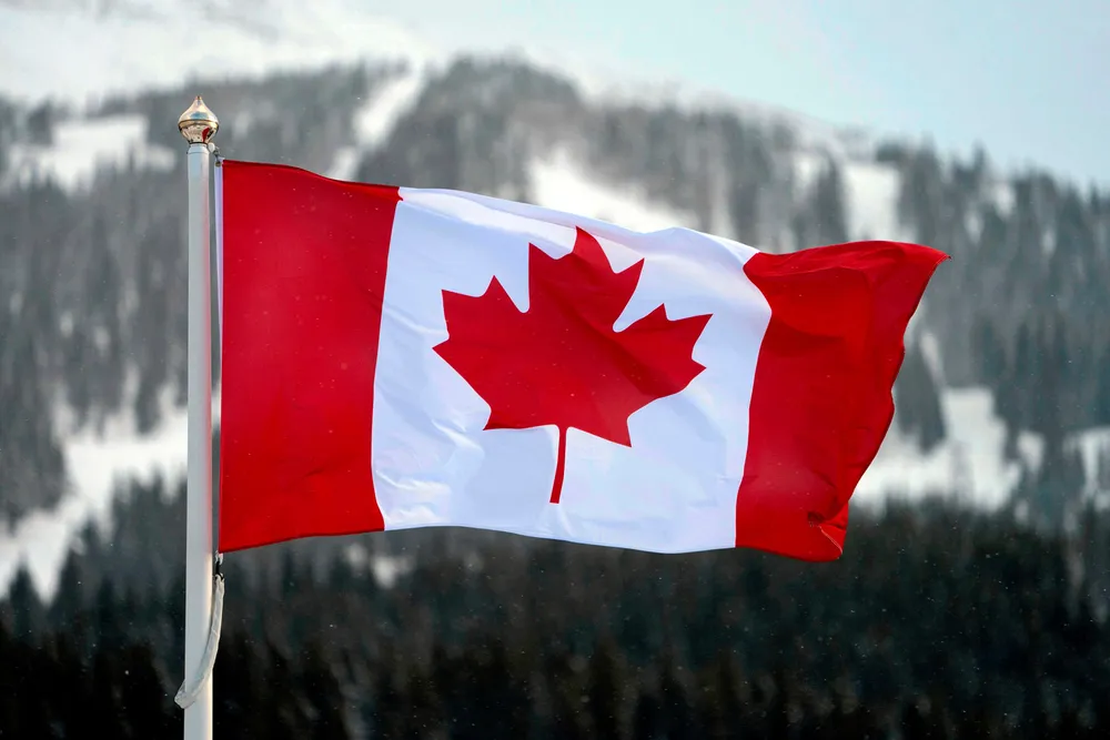 Canadian producer: IPC fell to a loss in 2020 as low prices and lower output took their toll on the company's results