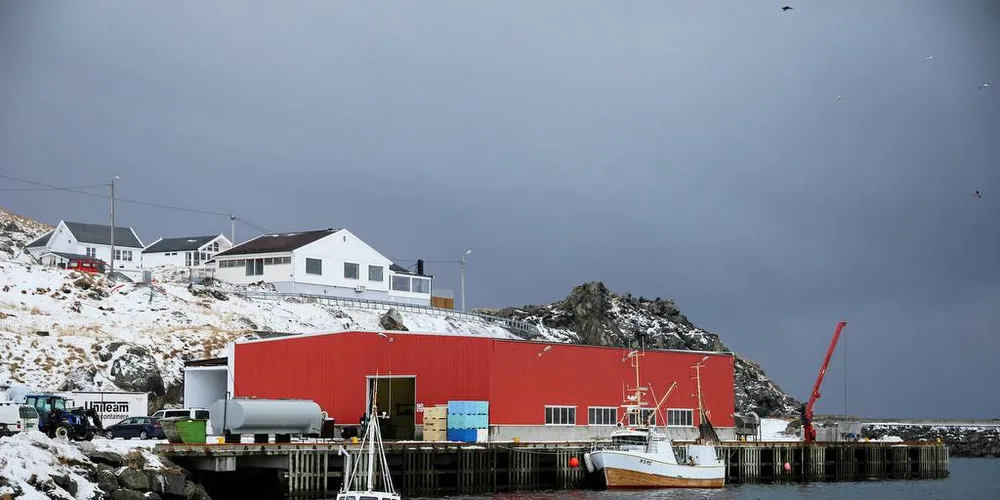 SÅRBAR: Enkelte fiskeindustribedrifter kan være sårbare for sammenslåing av kvoter i sjarkflåten, mener Sjømat Norge.Foto: Silje Helene Nilsen