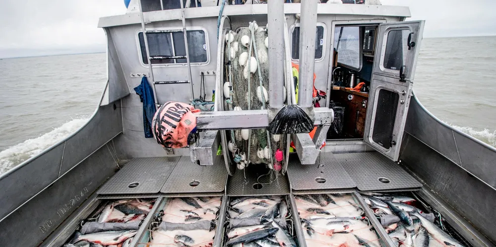 Bristol Bay fishermen are looking at partnering with a new processor for 2023.
