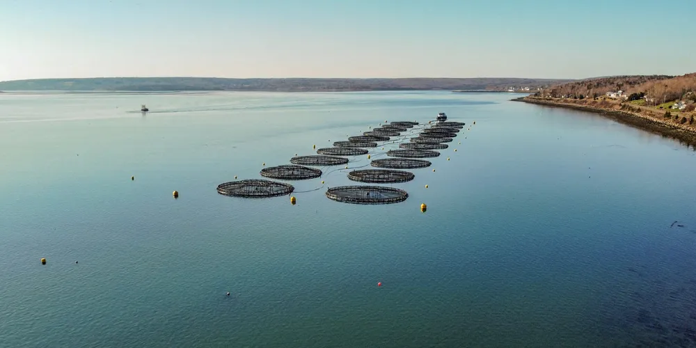 A Cooke Aquaculture salmon farming site in Nova Scotia. The company is facing pushback for plans to expand a lease boundary for an operation on the Mi'kmaq First Nations territory.