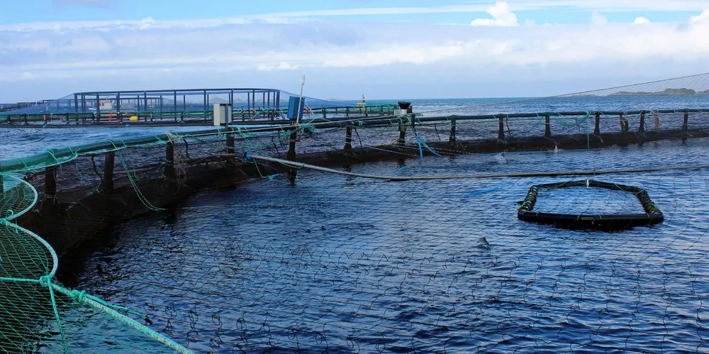 A Mowi salmon farming site outside Floro in the Sogn og Fjordane region of Norway.