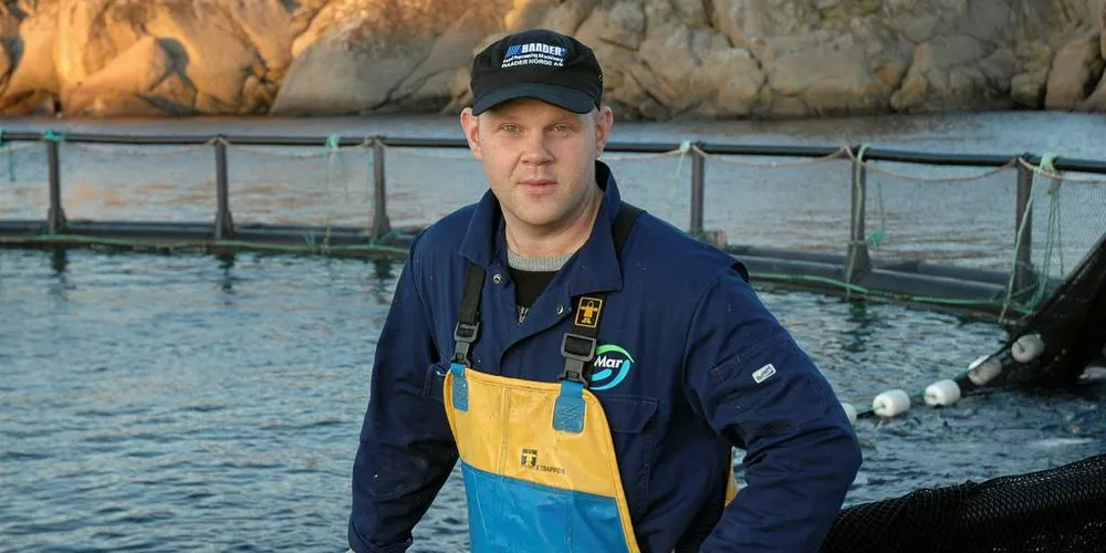 MEDVIND: Lofoten Sjøprodukter, her representert ved styremedlem Ole Vegard Mosseng på merdkanten, har gjort det godt de siste årene.Foto: Agnar Berg