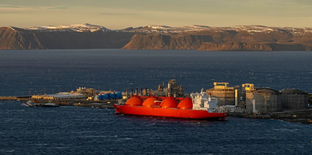 Statnett mener at planene om elektrifisering av Melkøya utenfor Hammerfest gjør at utbyggingen av en større kraftledning i området kan fortsette, selv om byggingen av gassfeltet Wisting er utsatt. Reineiere er uenige.
