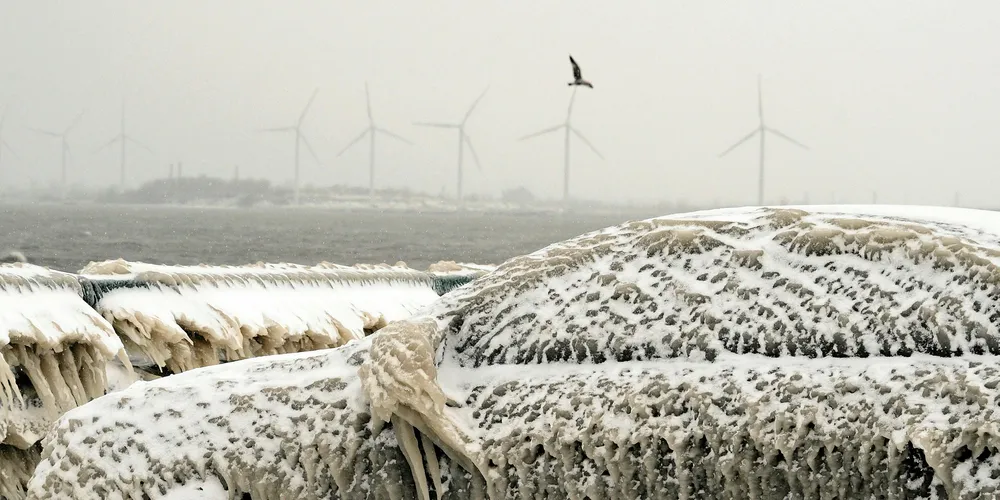 A car is coated in thick ice after being left in freezing temperatures beside a windy Lake Erie. Photo: John Normile/Getty Images
