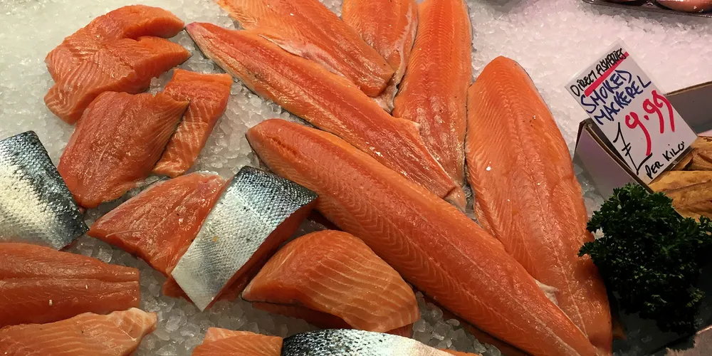 Farmed salmon prices continue to take a downturn.