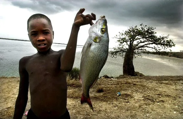 Catching fish: in Angola