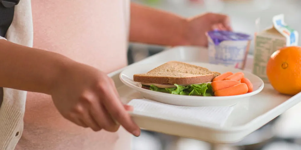 USDA National School Lunch program is part of its Section 32 purchases.