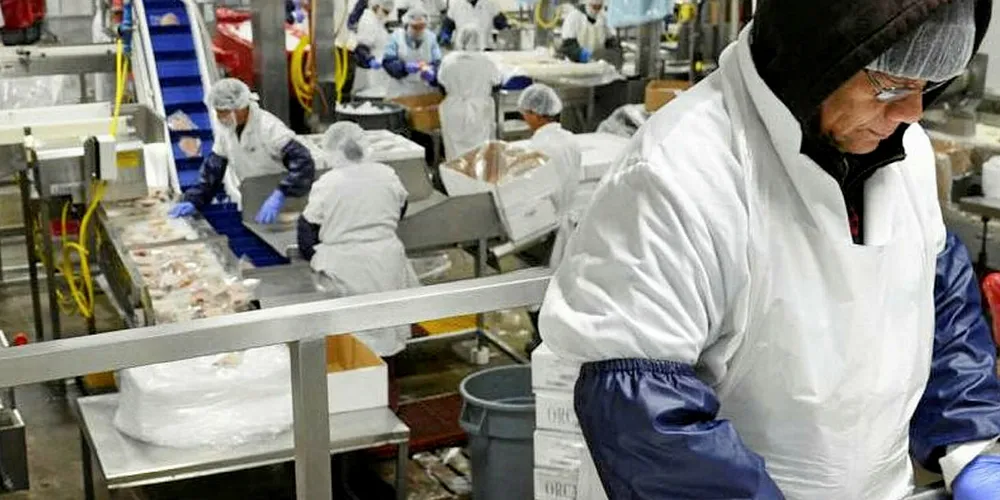 Should imitation seafood products grown in labs or made from plant-based materials be able to call themselves seafood?