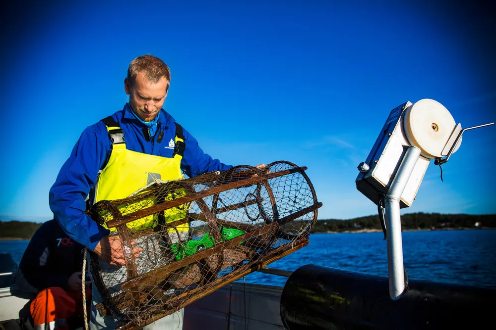 Hummerforsker Alf Kleiven ved Havforskningsinstituttet mener det må langt skarpere lut til for å bygge opp hummerbestanden.