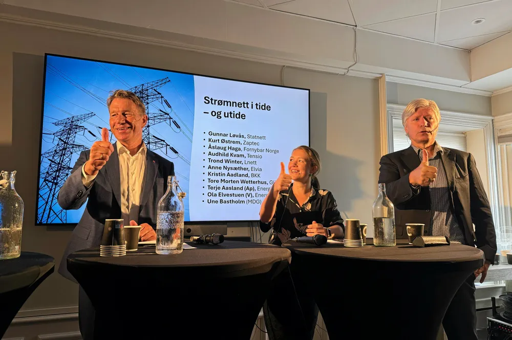 Energiminister Terje Aasland (Ap), Une Bastholm (MDG) og Ola Elvestuen (V) gir alle tommel opp og mener at det er en god idé at selskapene må betale for å stå i nettkø.