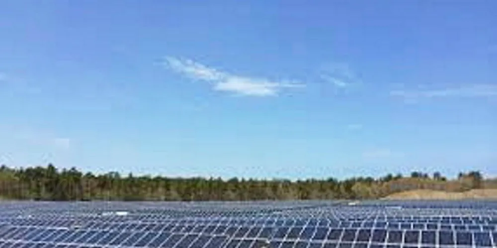 EDF Lepomis solar project