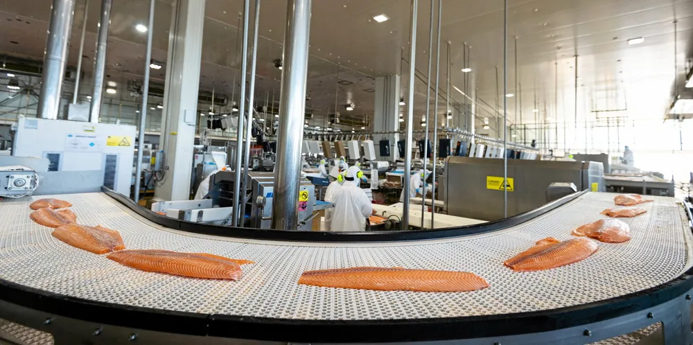 Weaker demand and higher costs drove down earnings for AgroSuper's aquaculture division, which owns AquaChile.