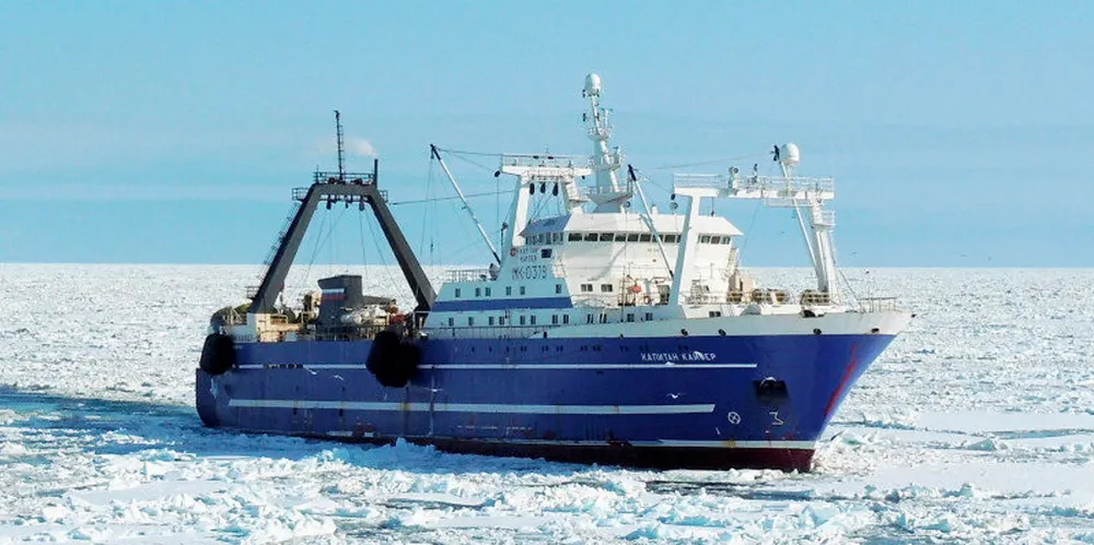 Russia's largest fishing company, Norebo, wants to go it alone on its Marine Stewardship Council pollock certification.