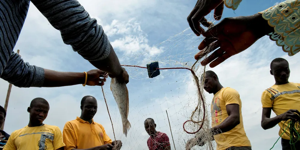 Local fishermen in Nigeria.