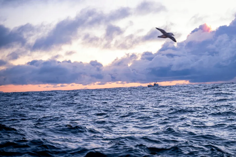 Havet gir oss selve livsgrunnlaget vårt. Mat naturligvis. Fisk og andre marine ressurser. Men også luften vi puster inn – dette andre åndedraget.. Her fra Lofotfiske med havhesten tett inntil båtripa.