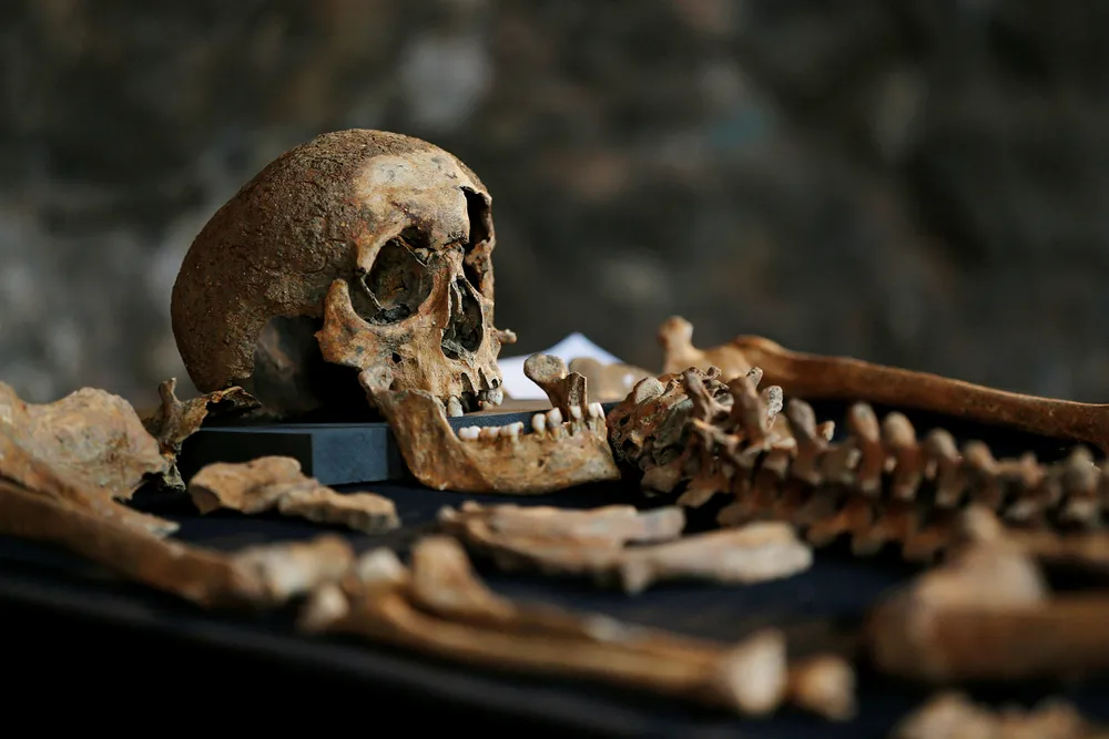 Bakterien i skjelettene fra St. Nikolai-kirkegården er identisk med de bakteriene som finnes i skjeletter fra epidemier i Barcelona, London og Saint-Laurent-de-la-Cabrerisse i Sør-Frankrike fra 1348. Dette skjelettet fra samme århundret ble funnet i London sentrum i 2014.