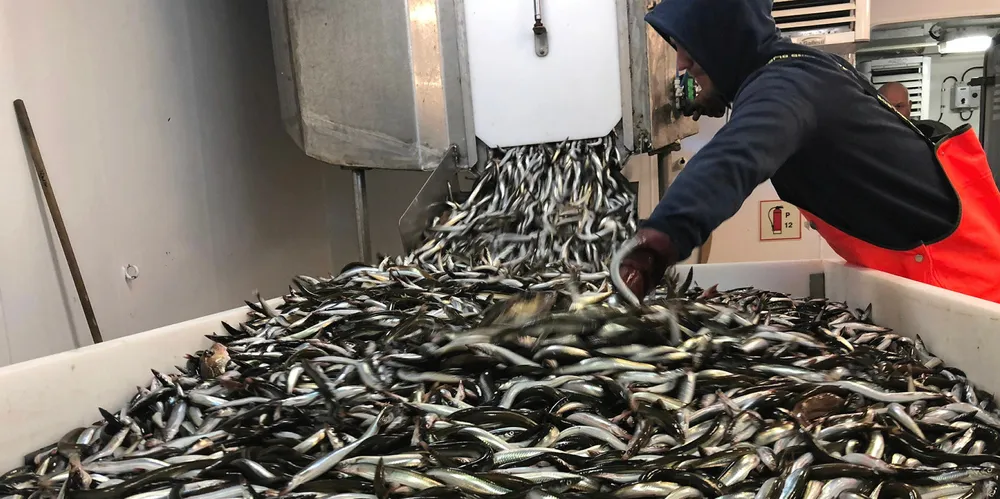 Havforskningsinstituttet skal kartlegge tobisen i eget tokt snart som vil føre til en beregning av bestandsstørrelsen og dermed fastsettelse av kvoten. Her fra fjorårets tobistokt med «Eros». Årets sesong har startet bra.