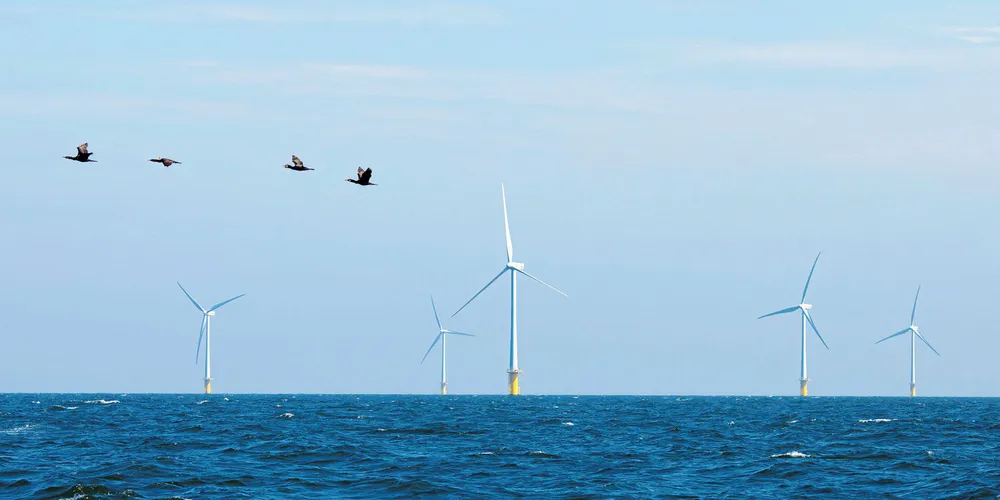 Deep-ocean wind could 'power all humanity': US study