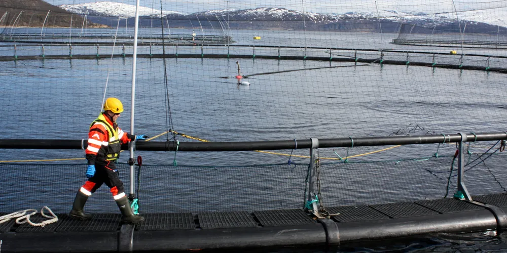 Salmar Nord på Lysnes i Lenvik kommune på Senja.
