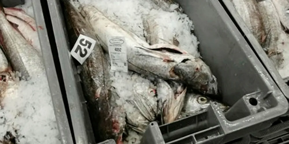 The French seafood sector is calling for urgent help.