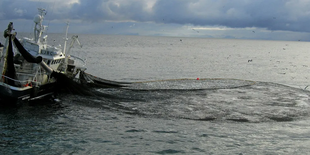 IKTIGE FISKEBANKER: Bankene utenfor Møre er viktige både for fiskere og fugl, og som gytefelt for silda og andre viktige fiskebestander.