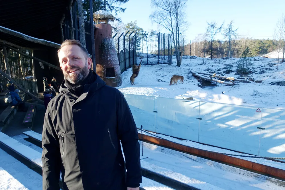 Etter noen stille uker, gikk bestillingene i taket for Per Arnstein Aamot og Kristiansand Dyrepark da Norge på ny stengte ned. I bakgrunnen serveres dagens løvemat.