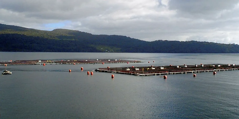 A Pacific Star salmon farm in Chile.