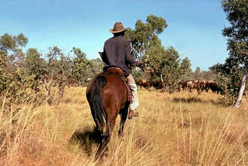 Outback appraisal: four wells are being drilled to test the limits of the Butlers oilfield in South Australia