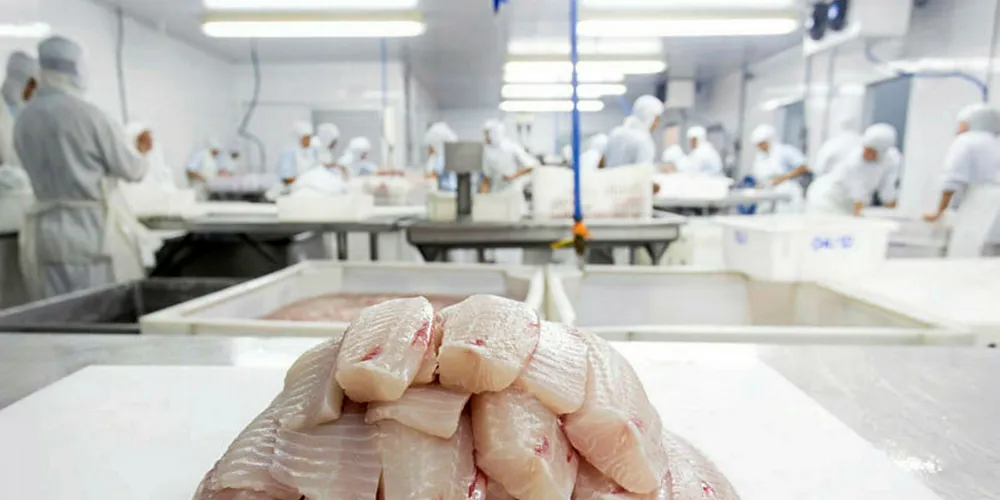 Will Brazilian tilapia producers emerge as the big winners in the trade war between the United States and China?