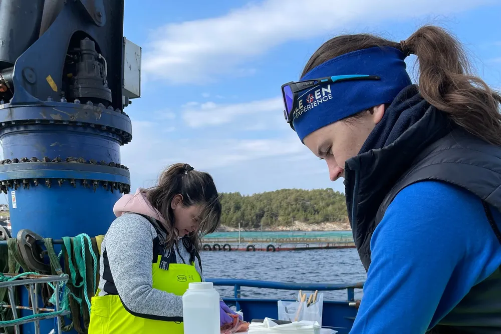 – I EINVU del 1, hvor de organiske mineralene ble testet i ulike nivå, kunne vi blant annet se at høye Fe-nivåer kompromitterer vevsmineralisering og påvirker filetkvaliteten negativt og at organisk mineraltilskudd forbedrer laksens velferd og produksjonsevne betydelig, uttaler prosjektleder Rullestad.