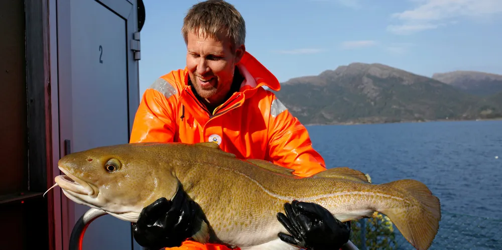 Daglig leder Halvard Hovland i Havlandet Marin Yngel i Florø, som har avlet frem torskeyngel siden 2002.